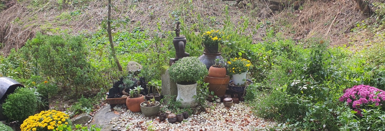 정원의 날 & 캠핑데이 / 숲속 작은 음악회 / 천국환송예배 [25년 10~11월] 